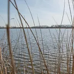 Luxe Dichtbij En Zee, In Het Hart De Bollenstreek *