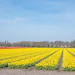 Luxe Dichtbij En Zee, In Het Hart De Bollenstreek Apartman Noordwijkerhout