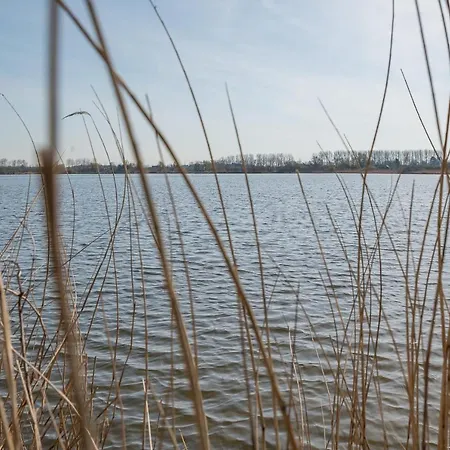 Luxe Dichtbij En Zee, In Het Hart De Bollenstreek *