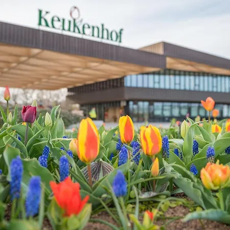Luxe Dichtbij En Zee, In Het Hart De Bollenstreek Lägenhet Noordwijkerhout