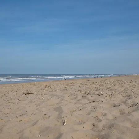 Luxe Dichtbij En Zee, In Het Hart De Bollenstreek Apartamento *