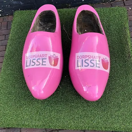 Luxe Dichtbij En Zee, In Het Hart De Bollenstreek Apartment *