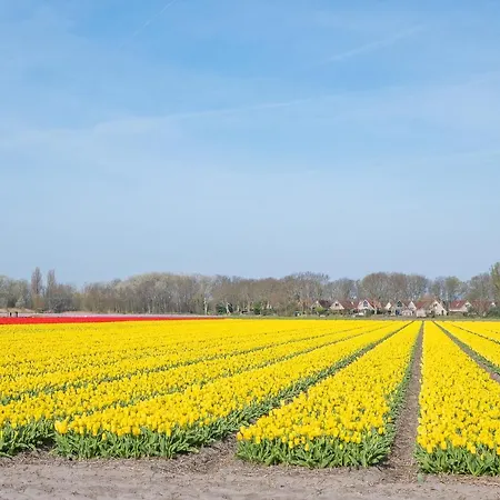 Luxe Dichtbij En Zee, In Het Hart De Bollenstreek Lägenhet Noordwijkerhout