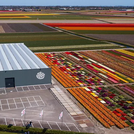 Luxe Dichtbij En Zee, In Het Hart De Bollenstreek *