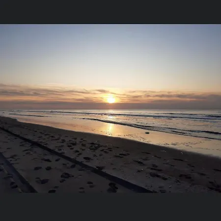 Luxe Dichtbij En Zee, In Het Hart De Bollenstreek Noordwijkerhout