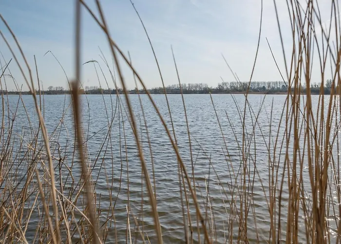 Luxe Dichtbij En Zee, In Het Hart De Bollenstreek *