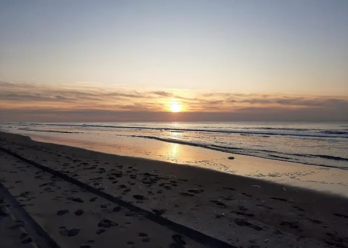 Luxe Dichtbij En Zee, In Het Hart De Bollenstreek Noordwijkerhout