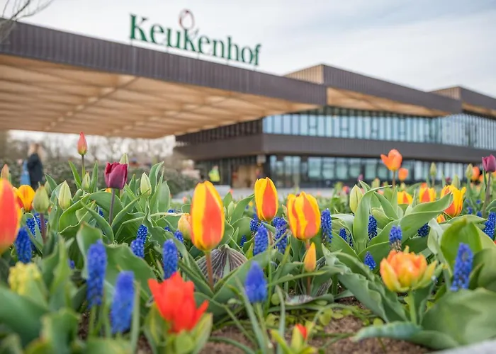 Luxe Dichtbij En Zee, In Het Hart De Bollenstreek Lejlighed Noordwijkerhout