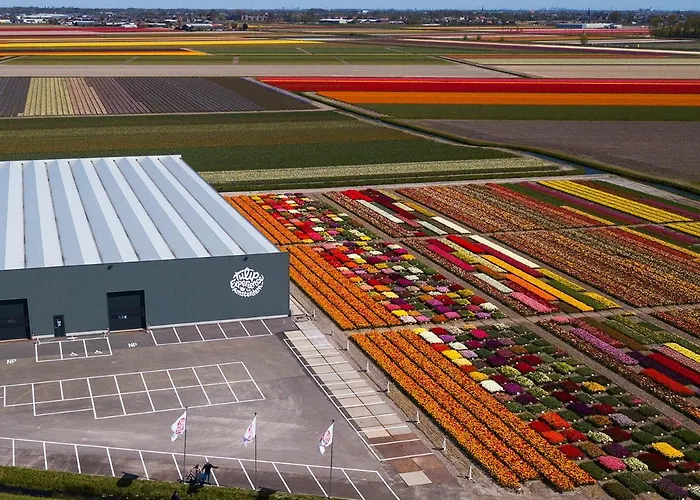 Luxe Dichtbij En Zee, In Het Hart De Bollenstreek *